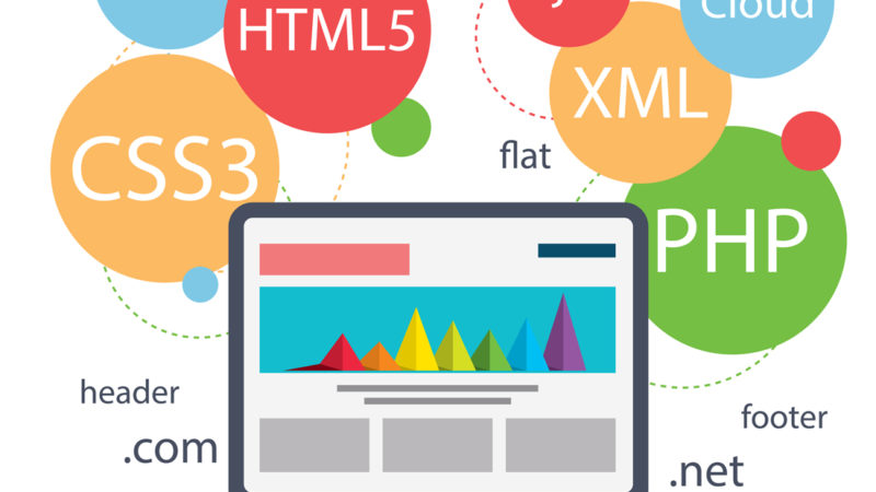 Web design infographic